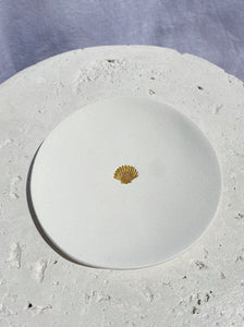 White Shell Dish