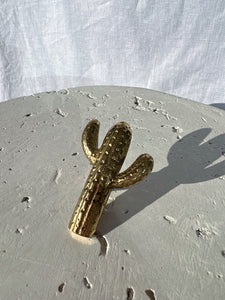 Cactus Knob